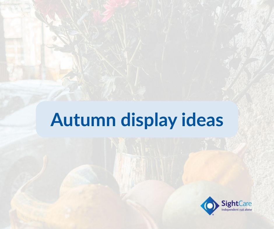 autumn window display ideas for opticians